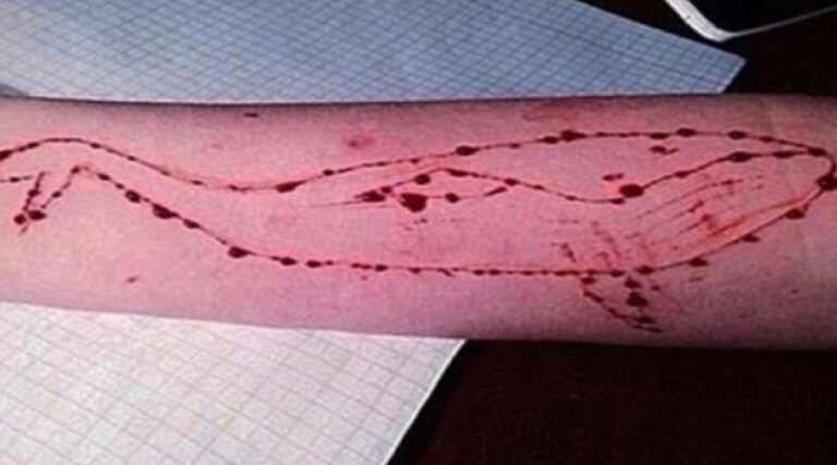 Blue Whale. Una giovane milanese indagata per istigazione al suicidio