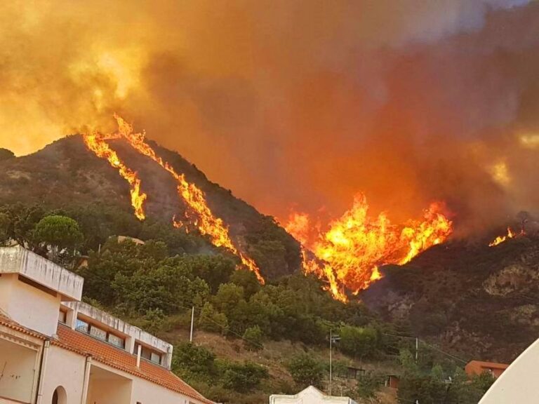 Brucia la Sicilia. Roghi in tutta l’Isola e temperatura sopra i 35 gradi