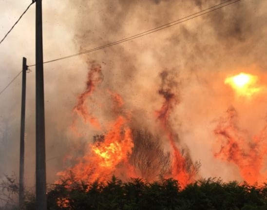 Incendi in Sicilia. Unione dei Consumatori: contro i piromani ci costituiremo parte civile