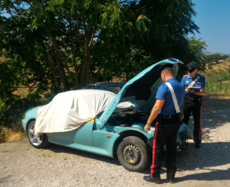 I Carabinieri scoprono deposito di auto rubate: denunciati due fratelli