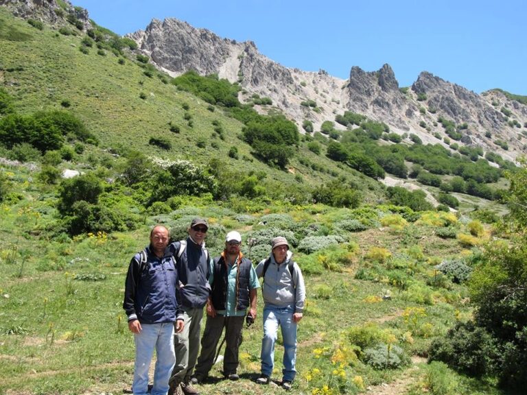 Frutta a rischio di estinzione: dal Consorzio universitario della provincia di Palermo, il progetto per salvarne diverse varietà