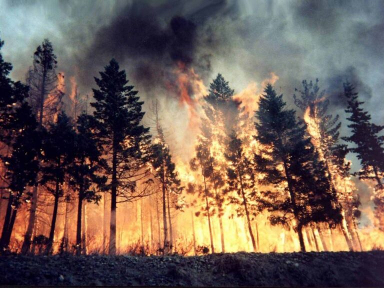 Bruciano il Portogallo e la Spagna. Le fiamme alimentate da Ophelia