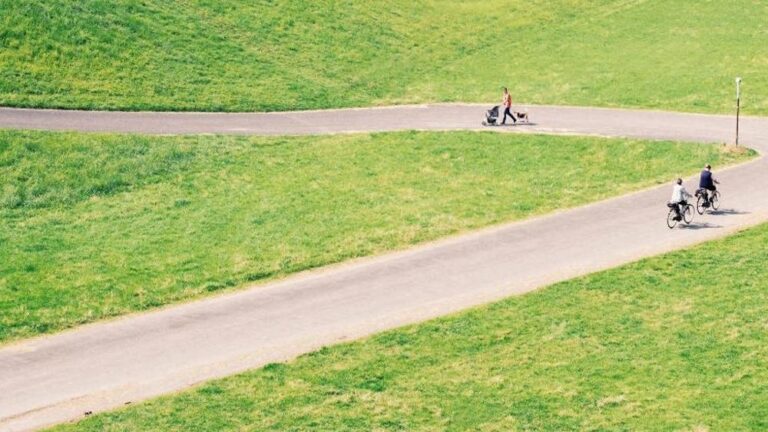 In Olanda pista ciclabile di carta igienica riciclata