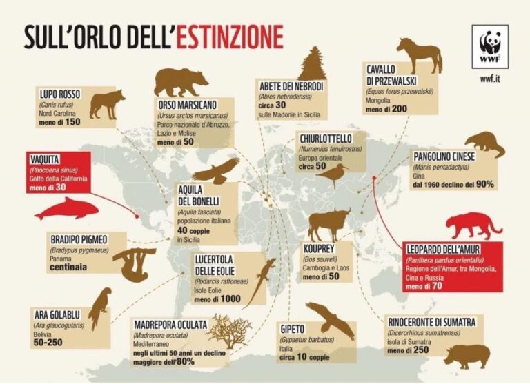 Il Wwf lancia l’allarme: 16 specie animali a rischio