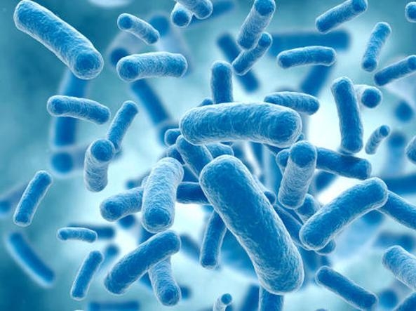 Resistenza agli antibiotici dei batteri: “rubano” il DNA. Dalla Svizzera un’importante conferma degli effetti negativi dell’abuso di farmaci