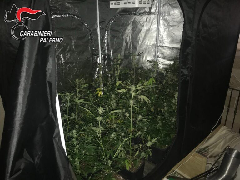 Coltivavano marijuana nella vasca da bagno e rubavano energia elettrica dalla rete pubblica. Arrestati due conviventi