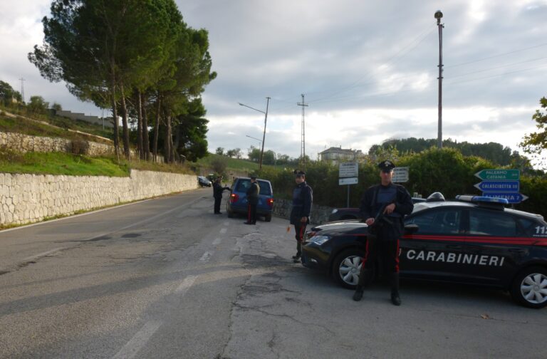 Controlli dei Carabinieri nelle Madonie. Denunce e sequestri nei Comuni di Bompietro, Polizzi, Alimena, Castellana, Gangi e Petralia Soprana