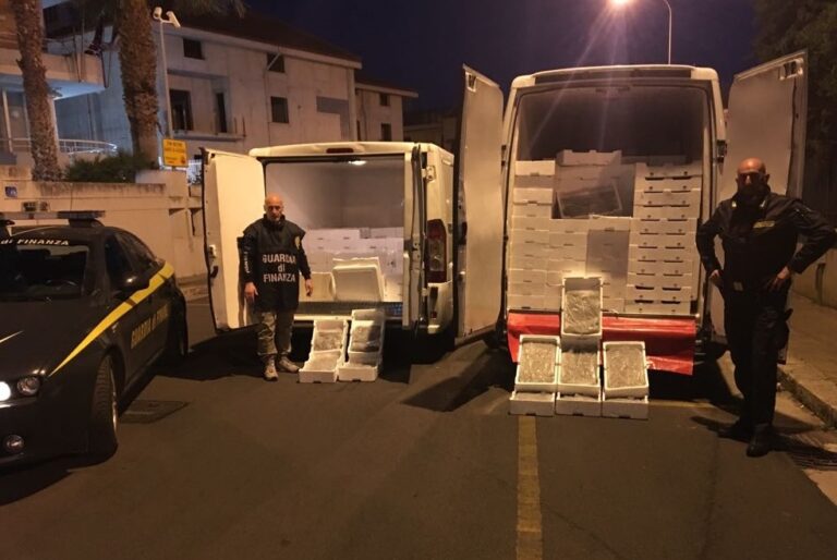 Sequestrati dalla GdF 2000 kg di novellame di sarde: valore 48.000 euro