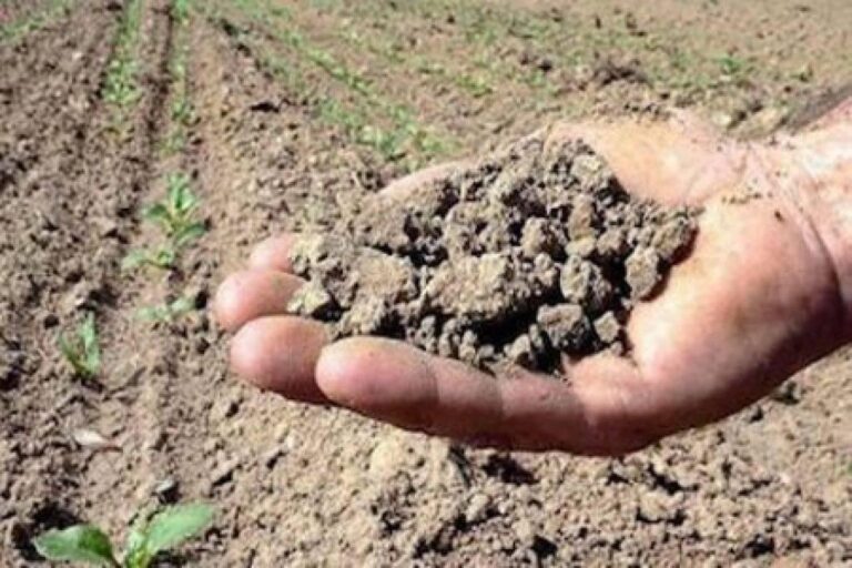 Agricoltura. Crisi idrica per i coltivatori della zona di Buonfornello. Il Sindaco di Termini Imerese sollecita la Regione ad intervenire