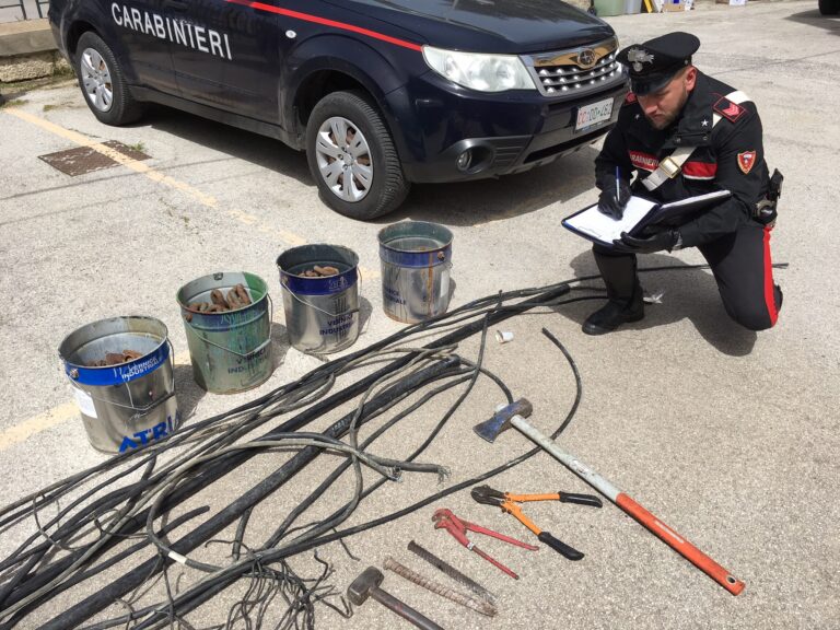Contrasto ai furti nelle zone rurali: i Carabinieri arrestano 5 persone