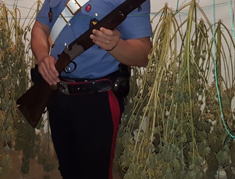 Giovane 23enne aveva adibito un intero appartamento per la coltivazione di droga. Denunciato dai Carabinieri