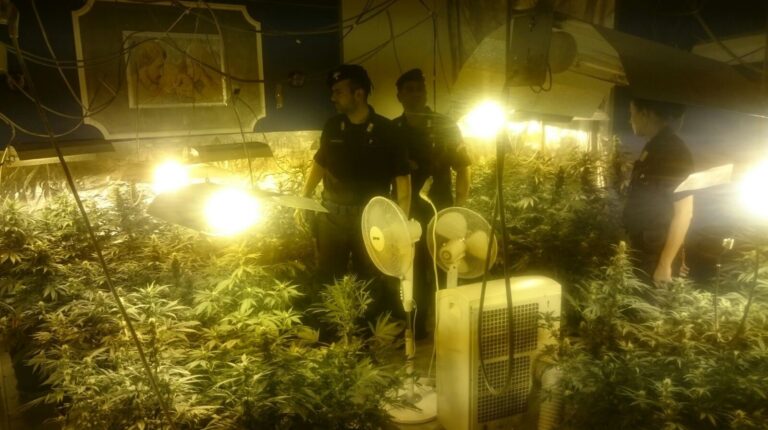 Operazione “Ero Market”. Due abitazioni di proprietà dell’Istituto Case Popolari occupate abusivamente trasformate in piantagione indoor di marjuana