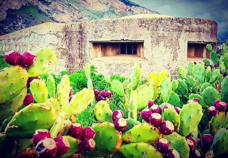 Visita guidata al Bunker costiero di Isola delle Femmine
