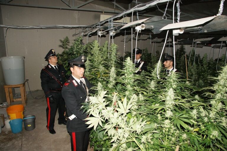 I Carabinieri arrestano un falegname insospettabile. Maxi sequestro di droga, armi e denaro