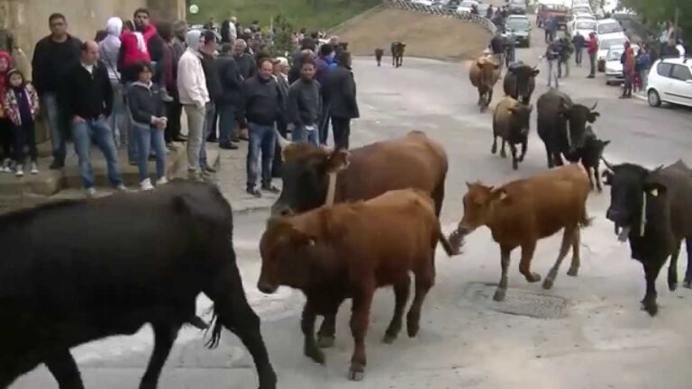 A Geraci Siculo la X edizione della festa della Transumanza “si sgavìta la montagna”