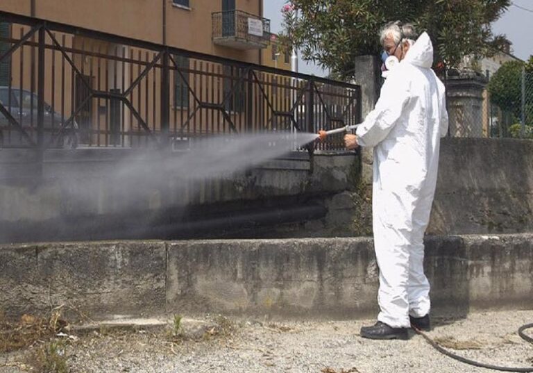 Termini Imerese, ripartono in città gli interventi di disinfestazione e derattizzazione