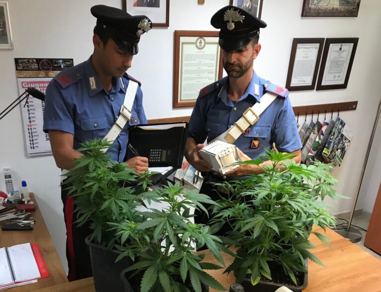 In un cunicolo sotto un palazzo i Carabinieri rinvengono una piantagione di marijuana