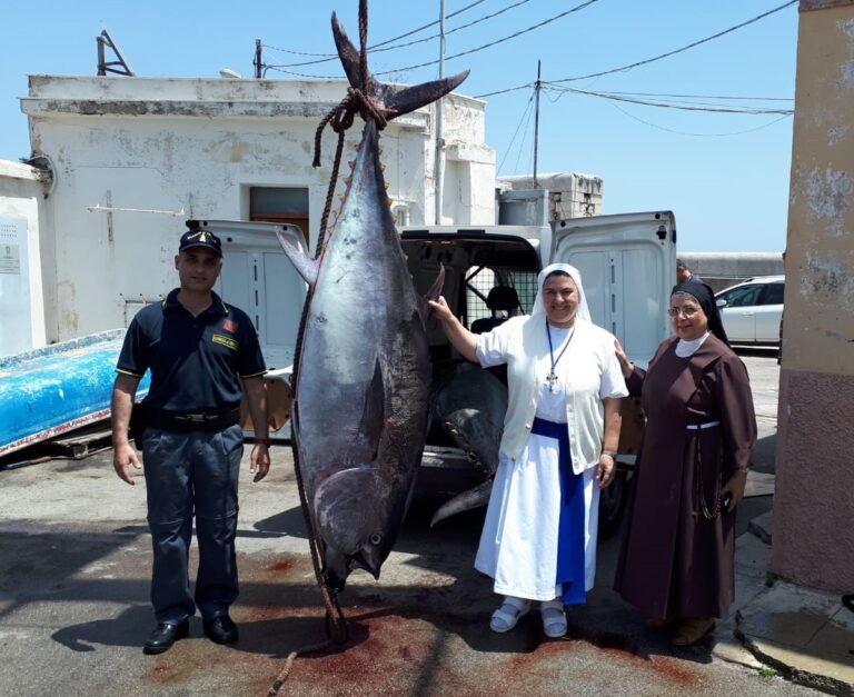 Pesca di frodo a Porticello. La Guardia di Finanza sequestra 2600 kg di tonno rosso