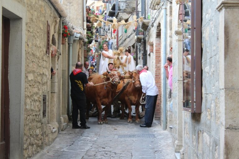 A Gangi entra nel vivo la 54esima Sagra della Spiga