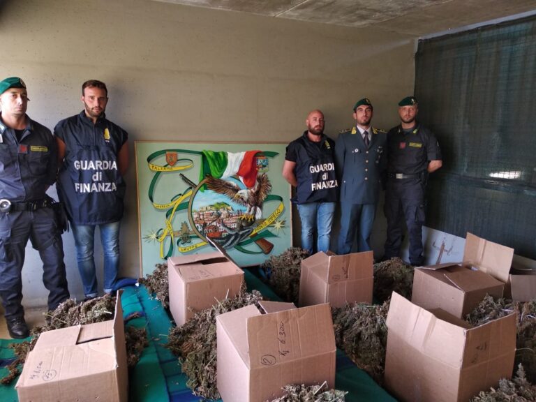 Gdf. I finanzieri hanno sequestrato 166 chili di marijuana