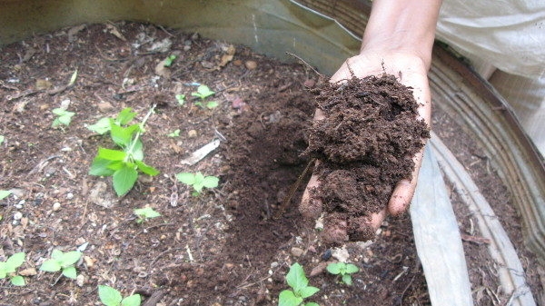 Pronti sedicimilioni di Euro destinati ai comuni per l’autocompostaggio