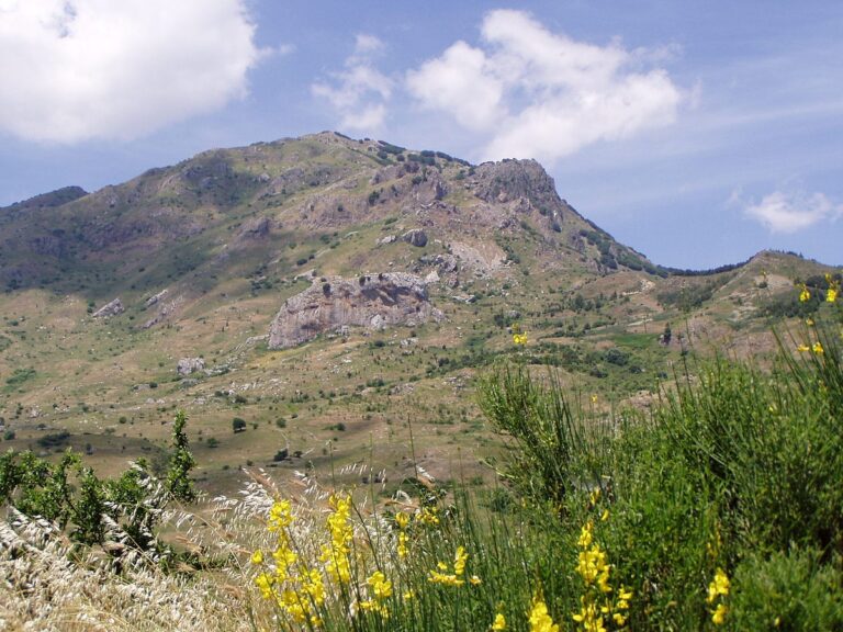 Madonie, nasce una nuova associazione per la cittadinanza attiva