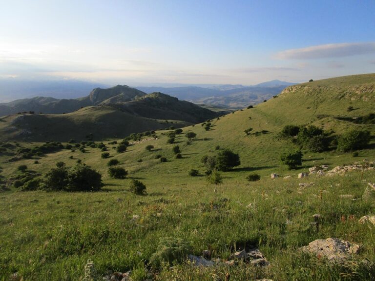 Trekking del WWF a Ficuzza e Pizzo Nicolosi