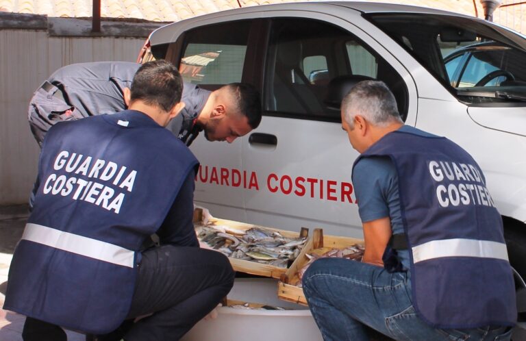 Controlli della guardia costiera: sequestrato prodotto ittico e attrezzatura da pesca