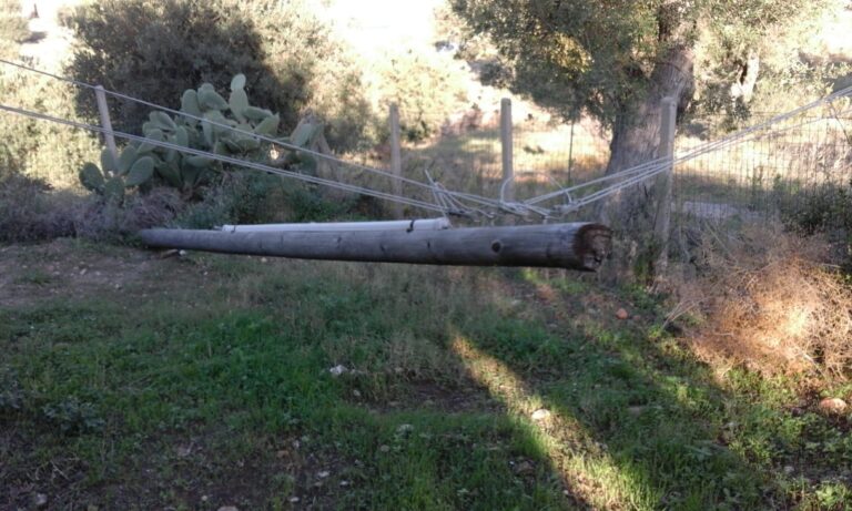 Termini Imerese, palo della Telecom caduto da circa sei mesi: nonostante i solleciti ancora nessun intervento