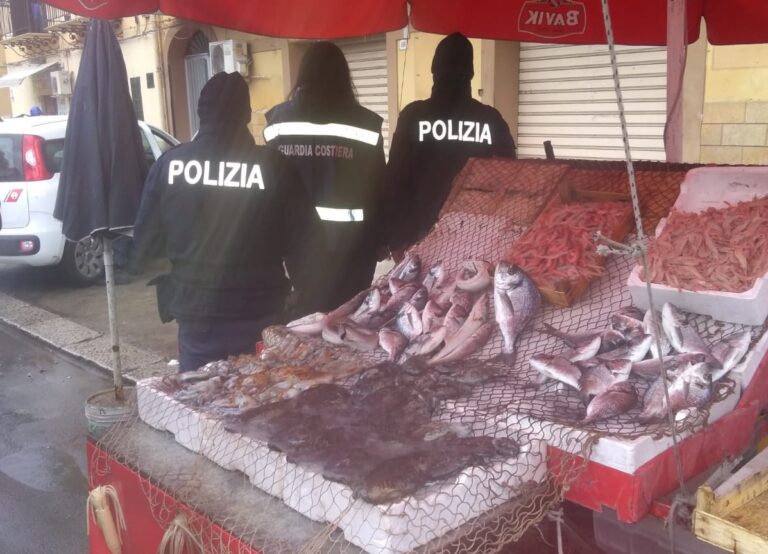 Sequestrati 250 kg di prodotti ittici e sanzioni amministrative per quattromilacinquecento euro