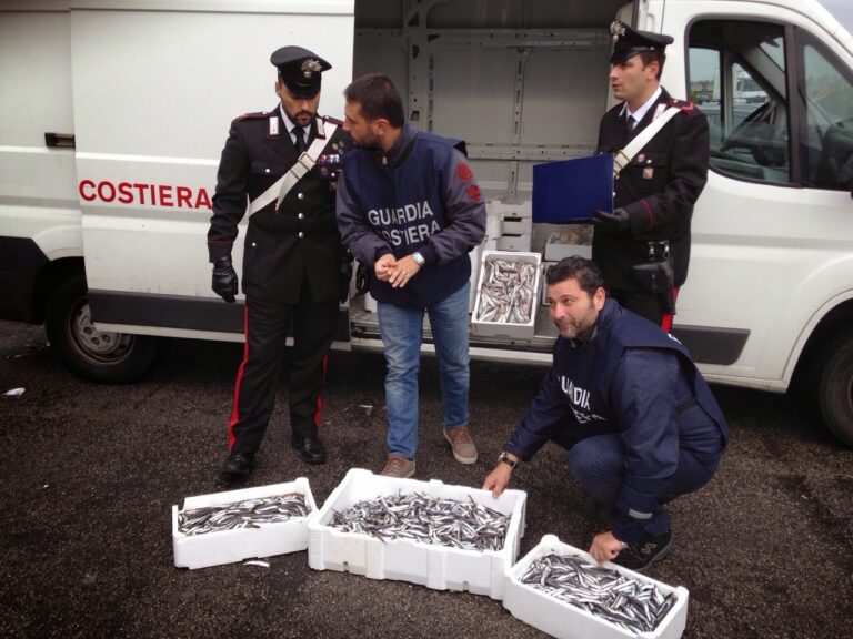 Controllo dei Carabinieri e della Guardia costiera: sequestrati 265 chili di prodotti ittici, devoluti in beneficienza
