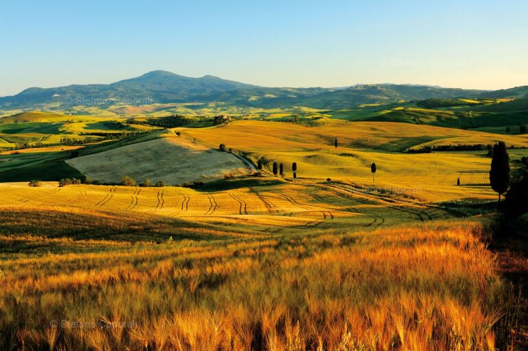 Trenta comuni del Comprensorio Termini Cefalù Madonie scrivono a Musumeci: il nuovo Piano paesaggistico rischia di mummificare il territorio