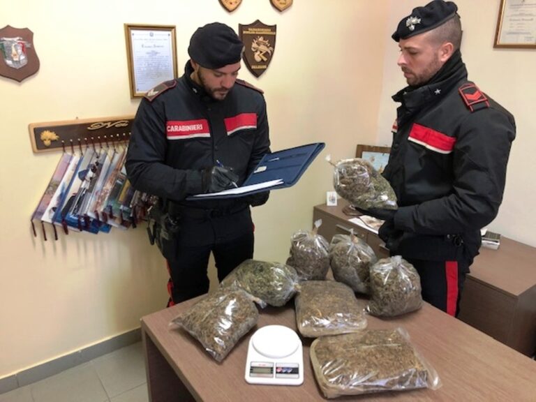 Maxi sequestro di marijuana, i carabinieri arrestano 28 enne nigeriano