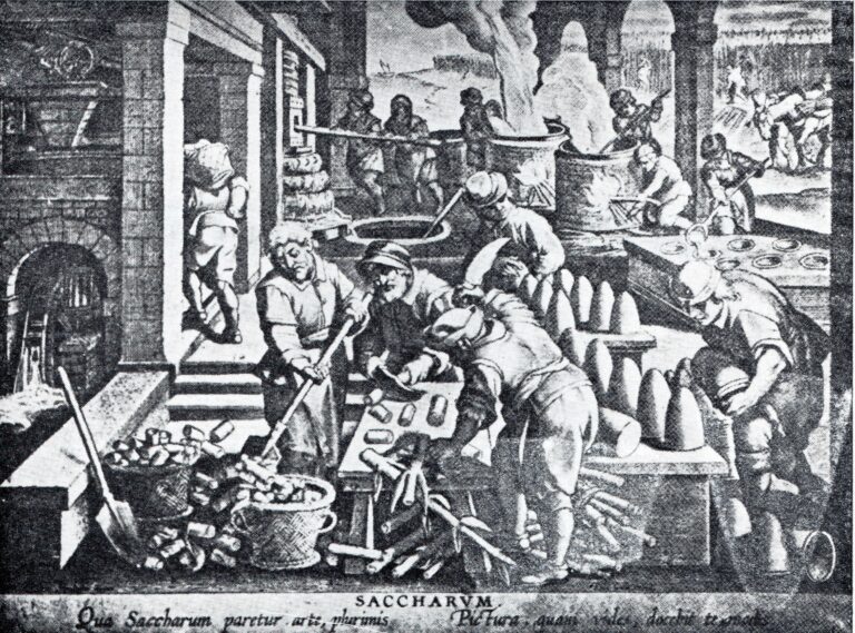 1585: gestione di un trappeto di canna da zucchero in un atto ratificato presso un notaio di Gratteri