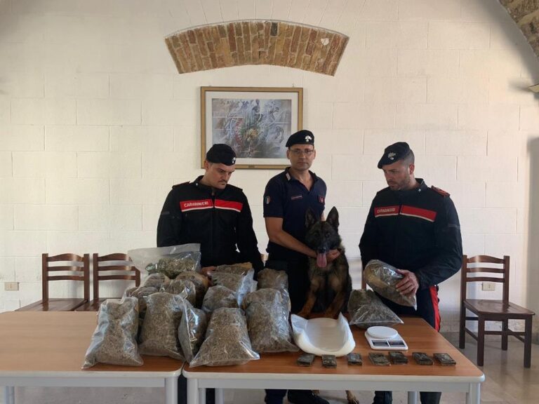 Grazie al fiuto del cane Ron Carabinieri rinvengono nove chili di marijuana. Valore 100.000 Euro
