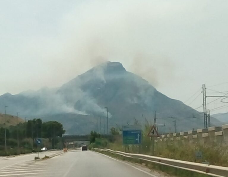 Termini Imerese, ancora incendi su monte San Calogero. “Scompare” il bosco di Sciara