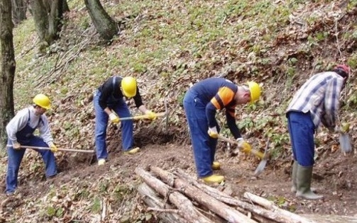 Riforma del settore forestale dimenticata