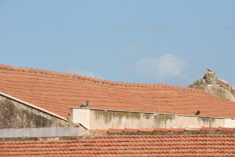 Termini Imerese, a rischio crollo il tetto dell’ex Collegio dei Gesuiti di via Roma: la denuncia delle Associazioni BCsicilia e Casa di Stenio