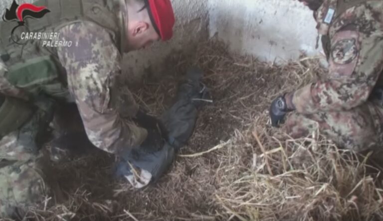 Nascondeva fucile e munizioni in un fienile: Carabinieri arrestano 45enne