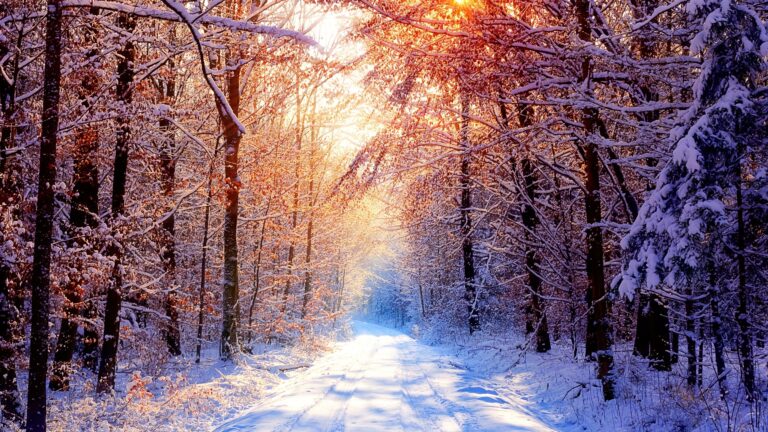 Riti del solstizio d’inverno e significati spirituali del Natale: conferenza a Trabia