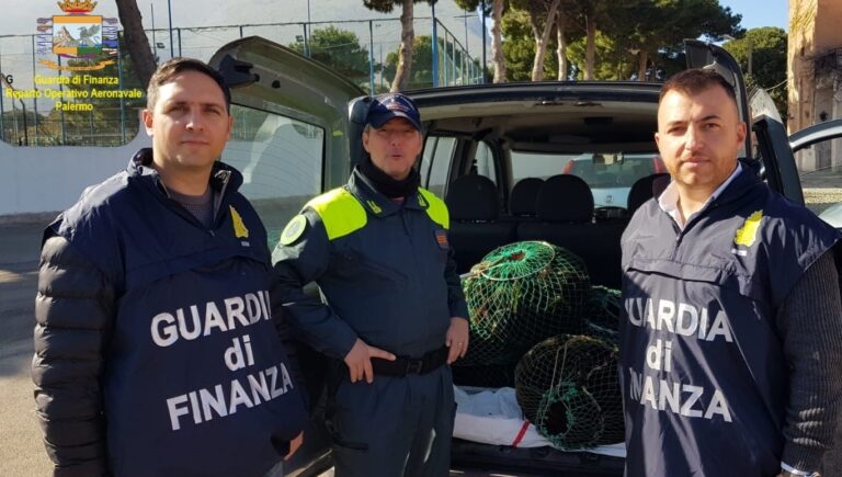 Pesca di frodo: interventi della Guardia di Finanza nelle zone interessate alla vendita illecita delle risorse ittiche