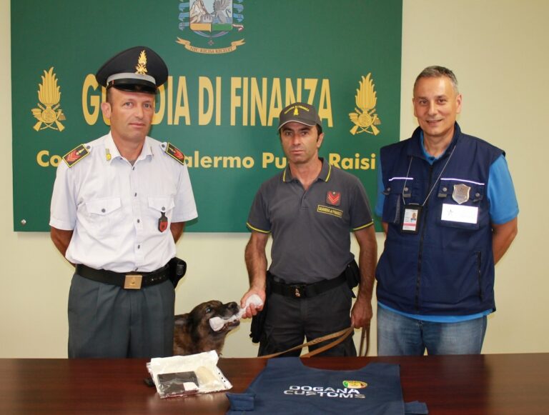 Cittadino francese fermato all’aeroporto Falcone Borsellino: nascondeva droga nelle parti intime