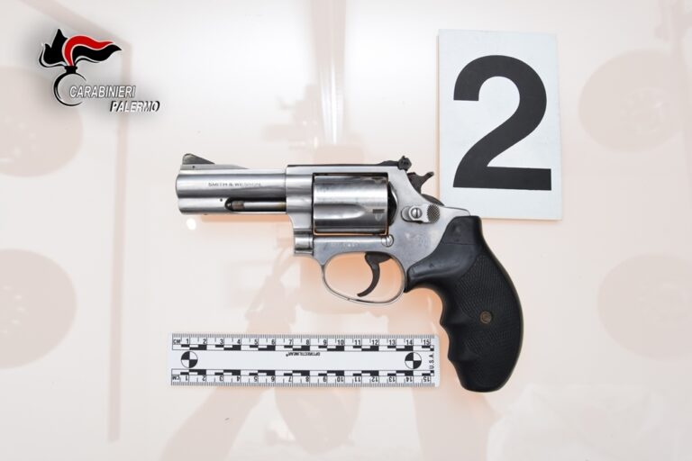Agricoltore con pistola e fucile arrestato dai Carabinieri. Tribunale di Termini Imerese convalida arresto