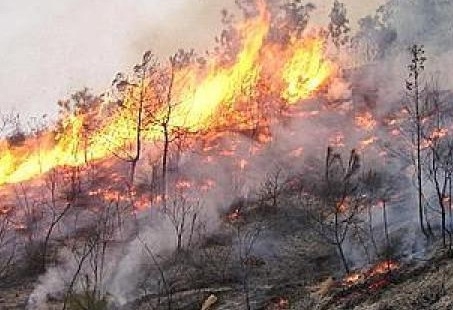 Ciminna, arrestato piromane: aveva poco prima causato un incendio su un’area protetta della Riserva Naturale