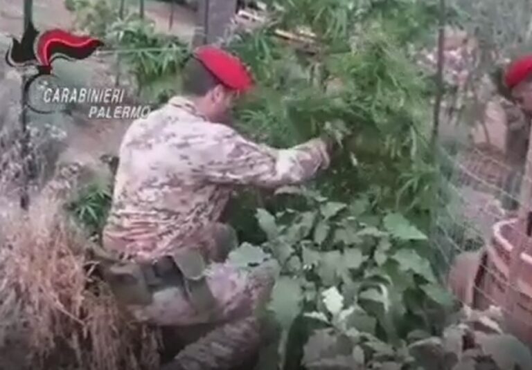 Aveva allestito un vero e proprio laboratorio attrezzato di tutto punto per la produzione e lavorazione della droga. Arrestato