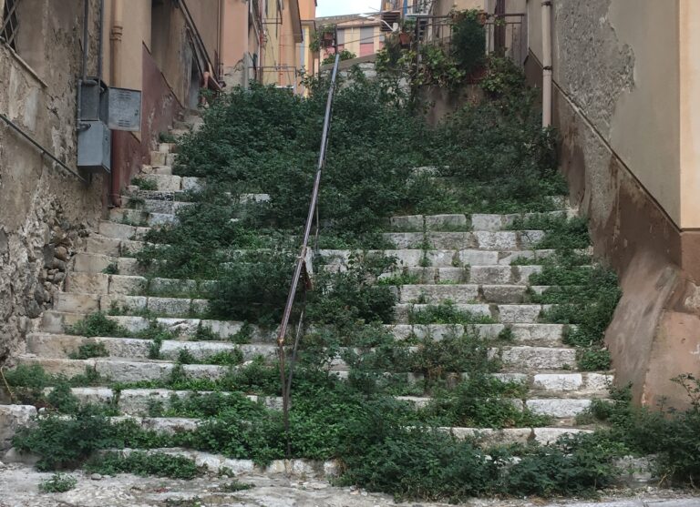 Termini Imerese, la foresta di Via Mamertino. Una strada interrotta… dal verde spontaneo