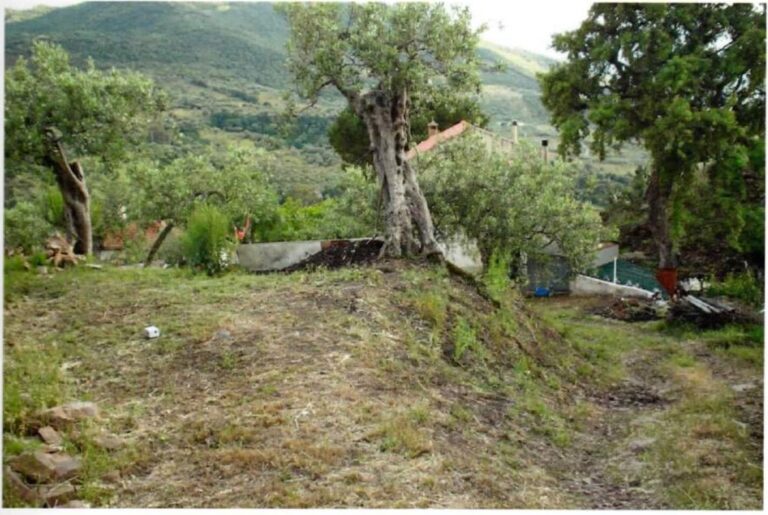 Dissesto idrogeologico: San Mauro Castelverde, un progetto per contrada Borrello