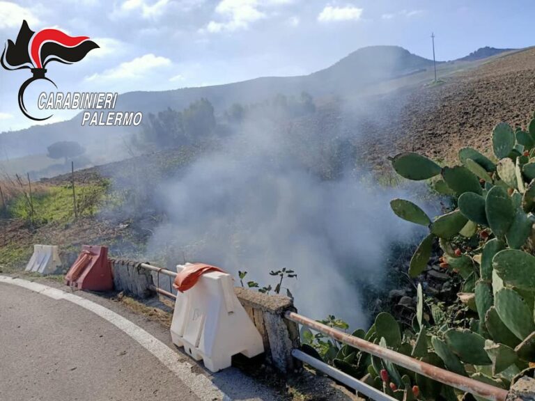 Carabinieri arrestano piromani a Cerda e Trabia
