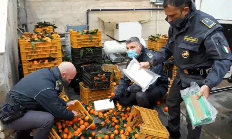 Operazione dei finanzieri di Termini Imerese: arrestati due corrieri, trasportavano 10 kg di cocaina nascosti tra i mandarini