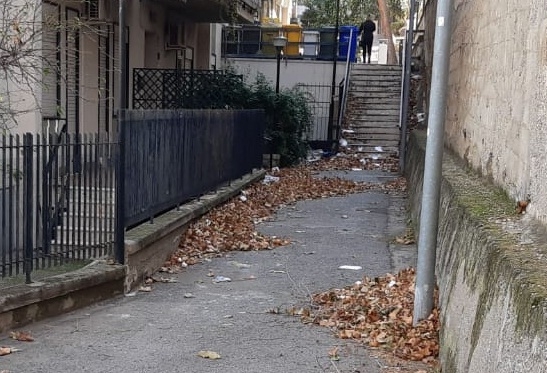 Termini Imerese, la via Ignazio Capuano sommersa da fogliame: speriamo di non dover attendere molto per la pulizia